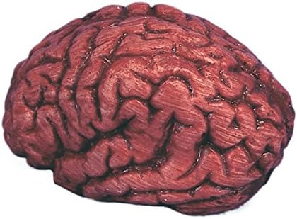 Симулирани делови од телото ~ мозок, 1/pkg, pkg/3