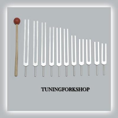 TFS TUNINGFORKSHOP 12 компјутерски вилушка за подесување на минерали за заздравување со молет+торбичка