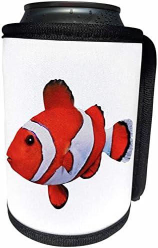 3дроза Црвена И Бела Морска Вода Кловн Риба-Може Поладна Обвивка За Шишиња