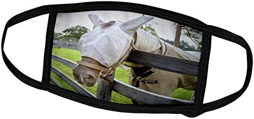 3дроуз Сузанс Зоолошката Градина Екипаж Животно коњ-Коњ Летаат маска Над Оградата-Лицето Покрива