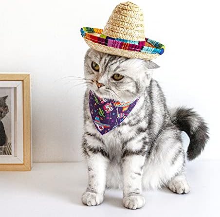 Дог од миленичиња слама капа Сомбреро капа Мексиканска смешна капа Бандана Додатоци за миленичиња Костими Поставени за роденден