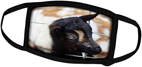 3Drose Spousky Eye Goat е близок коза што го покажува своето око - капаци на лицето