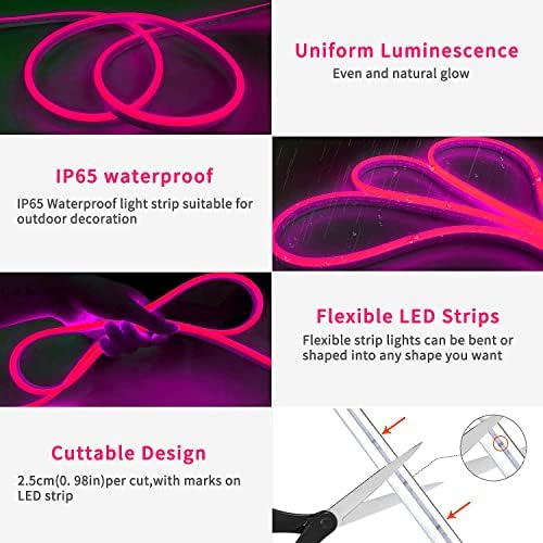 Lucienstar 16.4ft RGB Neon Rope Light + 16.4ft Сини флексибилни LED ленти светла, 12V за декор на отворено во затворено, вклучувајќи