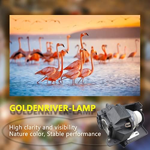 GoldenRiver NP33LP Оригинална проекторска ламба со куќиште компатибилно со проекторот NEC NP-UM351W ​​NP-UM351W-WK NP-UM351WI-WK