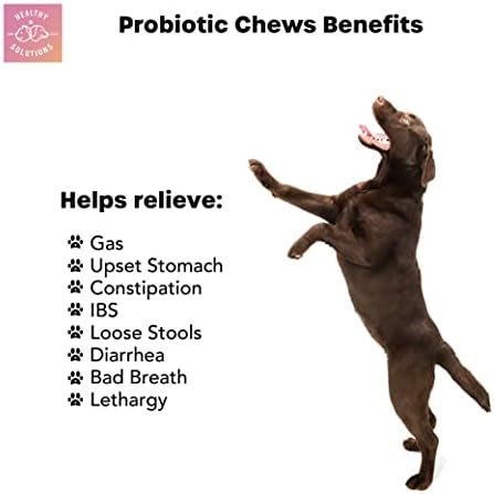 Куче Црево Здравје Пакет-Пробиотици За Кучиња &засилувач; Дигестивни Digими Со Куче Влакна Меки Џвакање Додаток-Подобрена Со