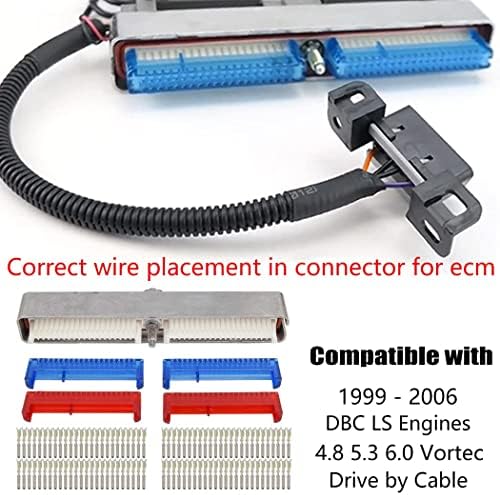Wirning Harness на Wzruibo LS со кабел 5.3, LS самостојно само за прицврстување на жицата 4L60E, за 1997-2006 LS1 4.8L 5.3L